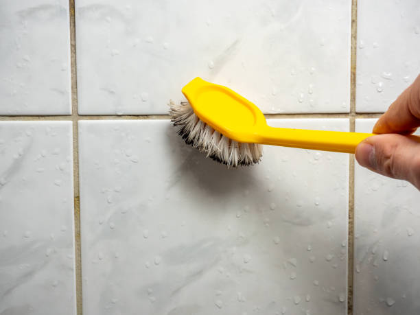 Best Toxic Mold Removal  in Nashvle, IL
