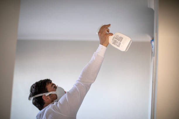 Mold Removal and Inspection in Nashville, IL