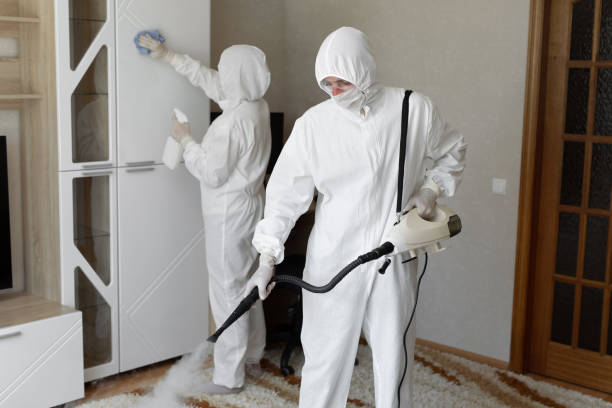 Best Professional Mold Removal  in Nashvle, IL