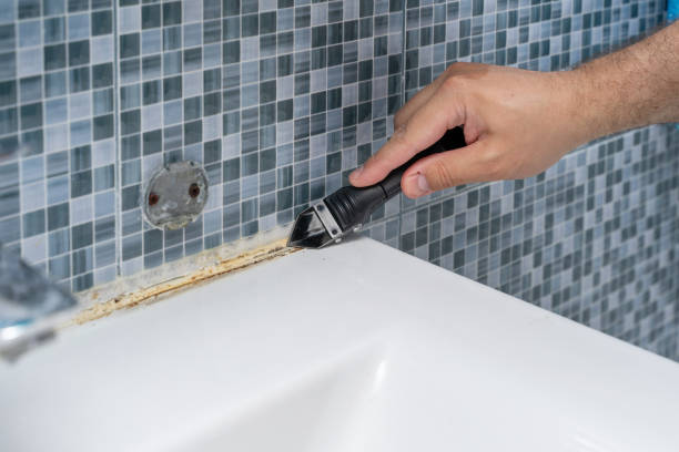 Best Emergency Mold Removal  in Nashvle, IL