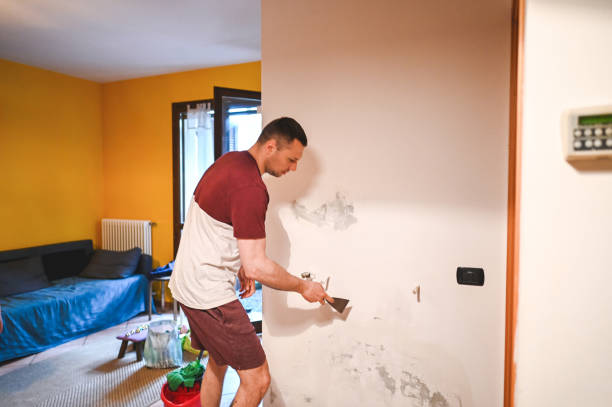 Best Mold Removal Near Me  in Nashvle, IL